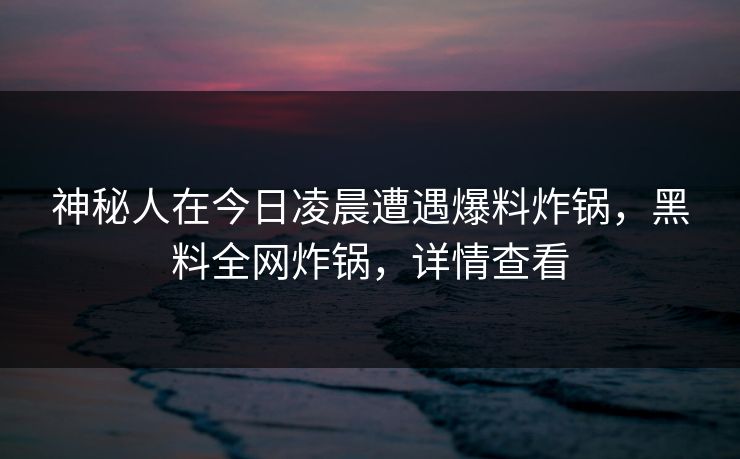 神秘人在今日凌晨遭遇爆料炸锅，黑料全网炸锅，详情查看