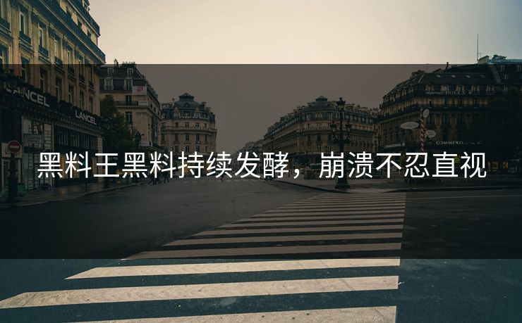 黑料王黑料持续发酵，崩溃不忍直视