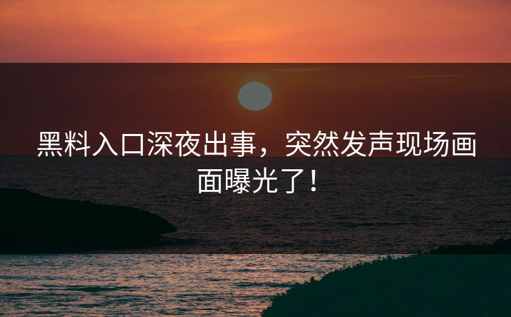 黑料入口深夜出事，突然发声现场画面曝光了！