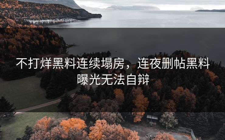 不打烊黑料连续塌房，连夜删帖黑料曝光无法自辩