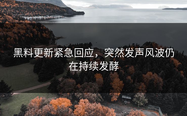 黑料更新紧急回应，突然发声风波仍在持续发酵