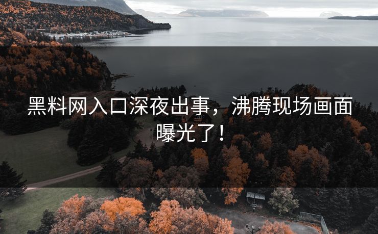 黑料网入口深夜出事，沸腾现场画面曝光了！