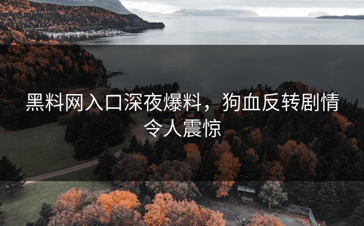 黑料网入口深夜爆料，狗血反转剧情令人震惊