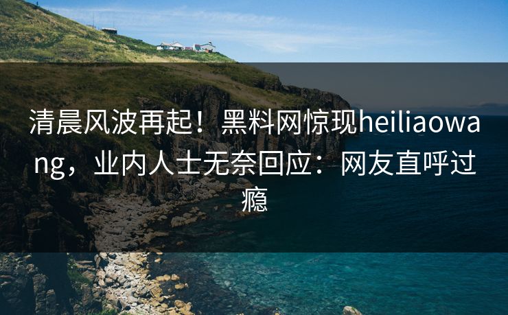 清晨风波再起！黑料网惊现heiliaowang，业内人士无奈回应：网友直呼过瘾