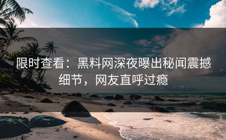 限时查看：黑料网深夜曝出秘闻震撼细节，网友直呼过瘾