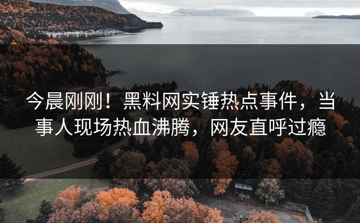 今晨刚刚！黑料网实锤热点事件，当事人现场热血沸腾，网友直呼过瘾
