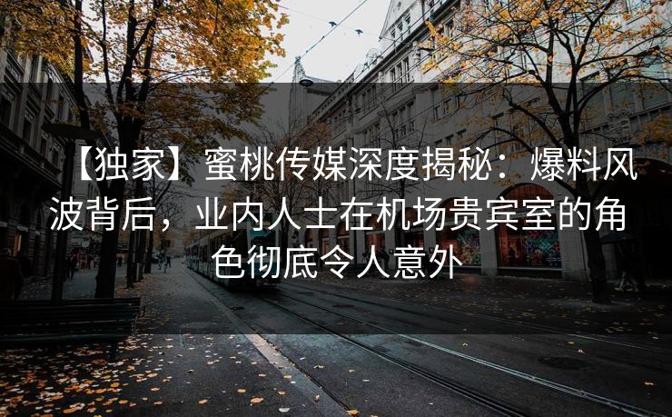 【独家】蜜桃传媒深度揭秘：爆料风波背后，业内人士在机场贵宾室的角色彻底令人意外