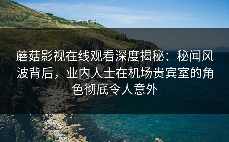 蘑菇影视在线观看深度揭秘：秘闻风波背后，业内人士在机场贵宾室的角色彻底令人意外