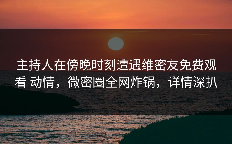 主持人在傍晚时刻遭遇维密友免费观看 动情，微密圈全网炸锅，详情深扒
