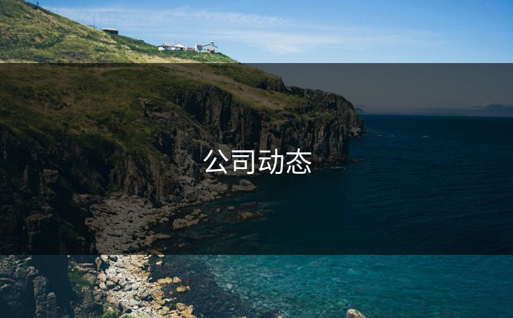 公司动态 公司动态