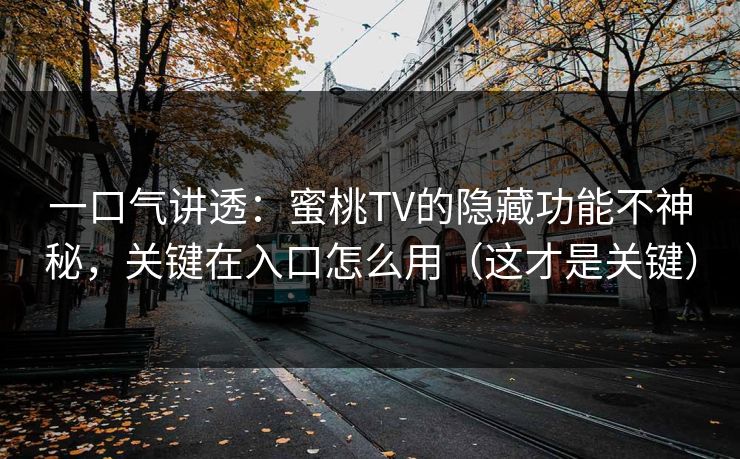 一口气讲透：蜜桃TV的隐藏功能不神秘，关键在入口怎么用（这才是关键）
