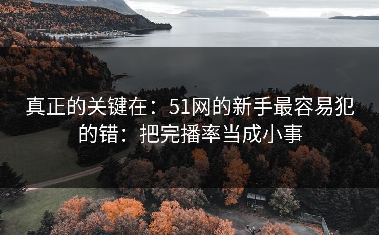 真正的关键在：51网的新手最容易犯的错：把完播率当成小事